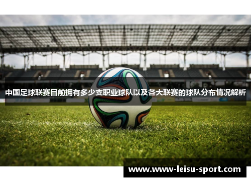 中国足球联赛目前拥有多少支职业球队以及各大联赛的球队分布情况解析
