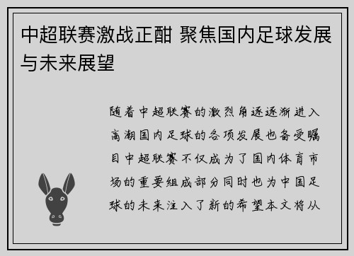 中超联赛激战正酣 聚焦国内足球发展与未来展望
